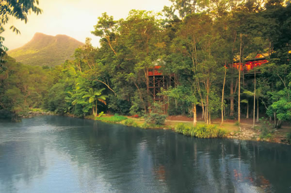 Cabañas hotel Silky Oaks Lodge Daintree National Park 