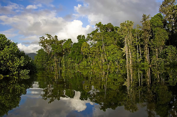 Naturaleza y rio de Daintree National Park en Australia lujo