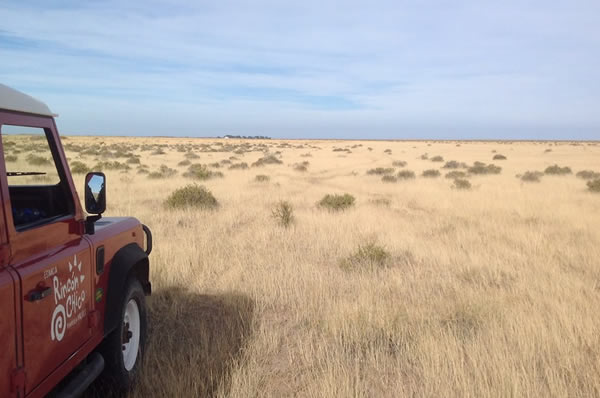 Traslado en Jeep en la Estancia Rincón Chico en Península de Valdés en Argentina