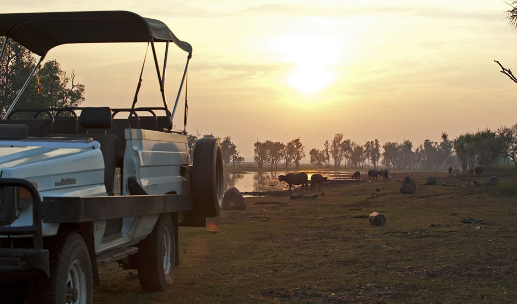 Jeep al atardecer en Bamurru Plains en Darwin Australia