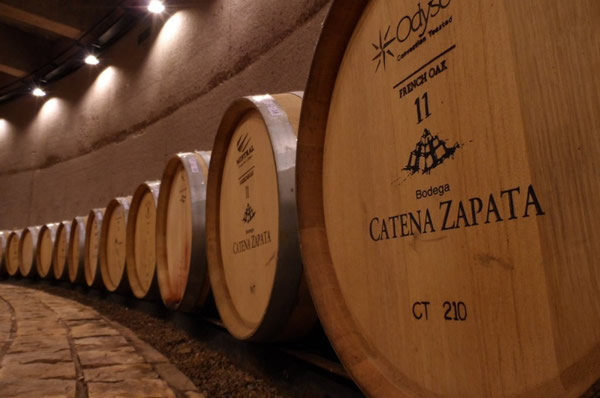 Visita a Bodegas en Mendoza 