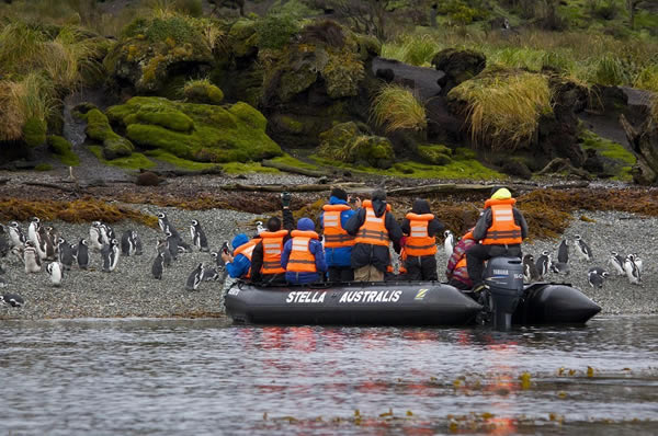 Crucero Australis en Patagonia islotes Tuckers en Zodiacs 