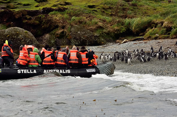 Excursión barco patagonia