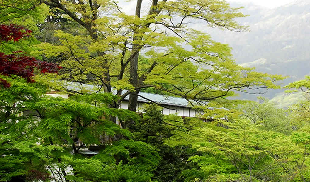Gora Kadan. Gora Kadan Ryokan en Hakone Japón