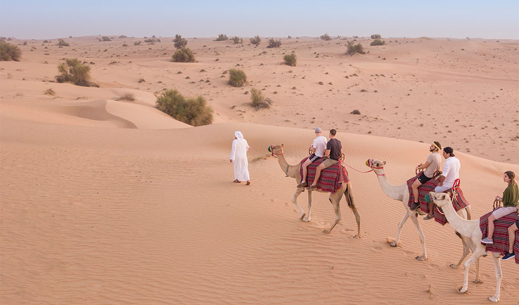 Paseo en camello desierto Dubai