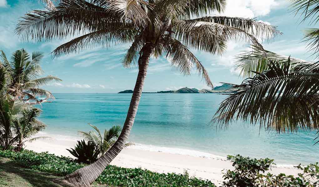 Palmeras y playa de arenas blancas Fiji