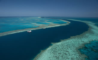 Imagen de la barrera de Coral en Australia