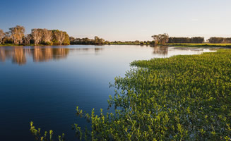 Naturaleza en Australia entorno natural de Darwin