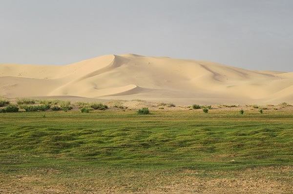 Desierto de Gobi