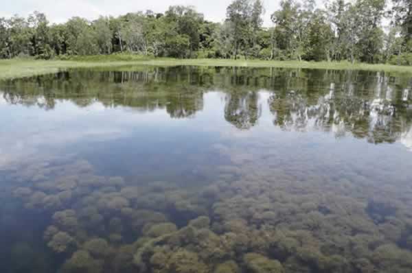 Lago Murray