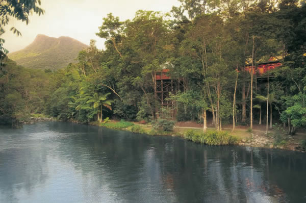 Silky Oaks en Cairns