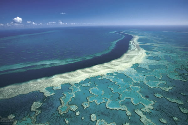 La gran barrera de coral 