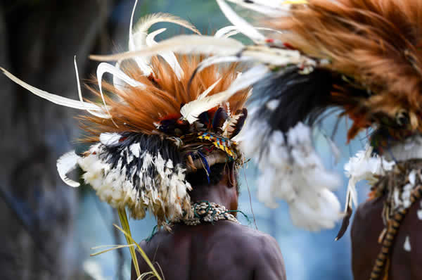 Danzas tribales en Papúa Nueva Guinea