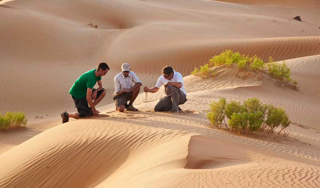 Actividades desierto Abu Dhabi Qasr Al Sarab Desert Resort