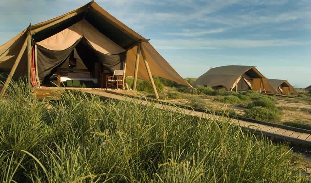 Tienda de campaña Sal Salis Ningaloo Reef Australia 