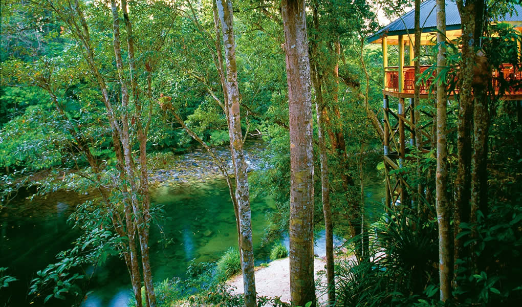 Treehouse Restaurant en medio naturaleza en Silky Oaks Lodge Australia 