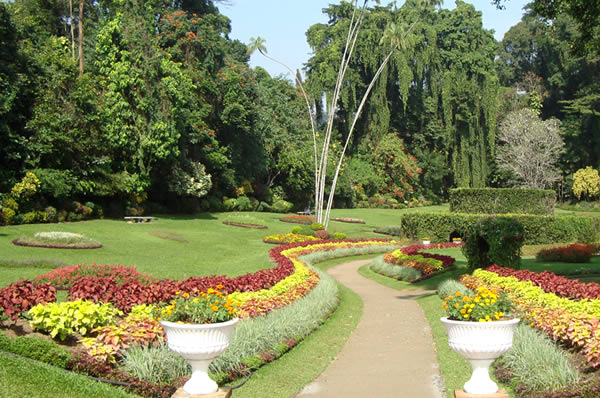 Jardín de Flores Sri Lanka viajes novios a medida