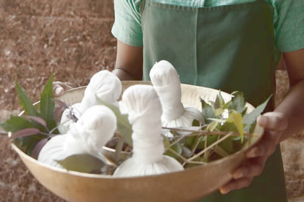 Hierbas de tratamiento Ayurveda Panchakarma en India SwaSwara