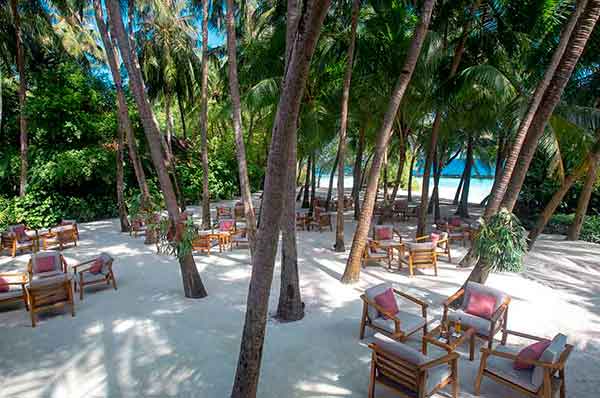 Zonas comunes del hotel con palmeras y salida directa a la playa