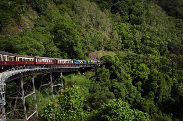 Tren en Australia vías ingresando naturaleza Australia