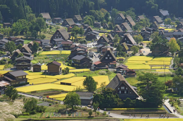 Viajes a Japón a Medida. Viajes de novios a Japón. Camino Kumano