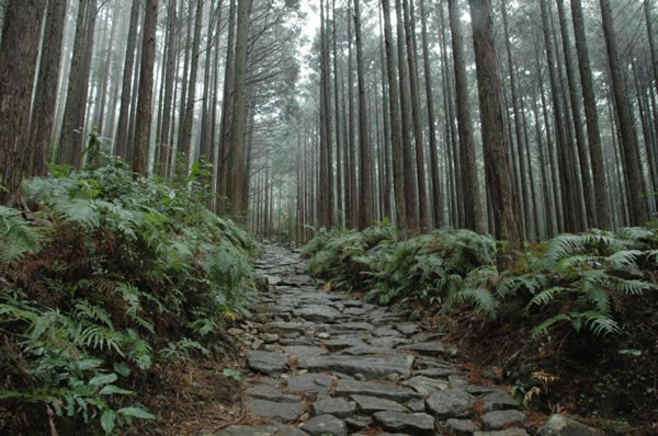 Viajes a Japón a Medida. Viajes de novios a Japón. Camino Kumano