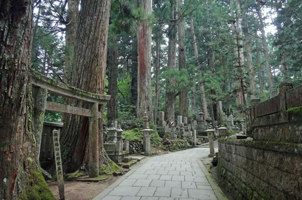 Viajes a Japón a Medida. Viajes de novios a Japón. Camino Kumano