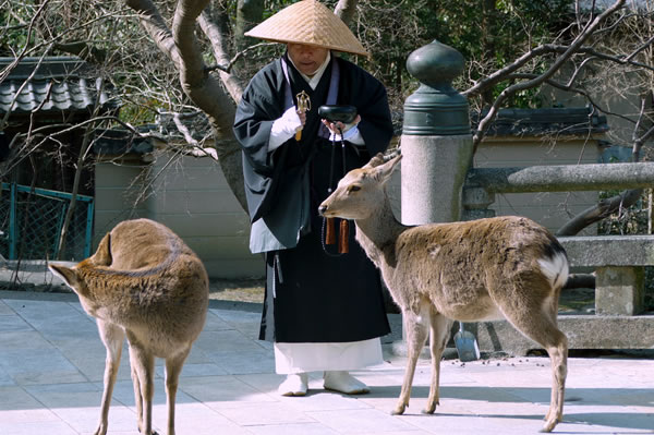 Viajes a Japón a Medida. Viajes de novios a Japón