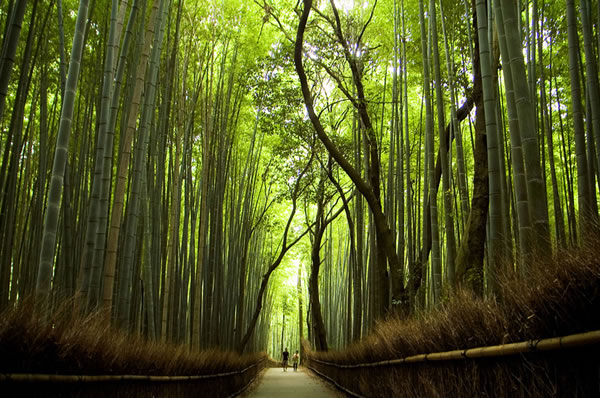 Viajes a Japón a Medida. Viajes de novios a Japón