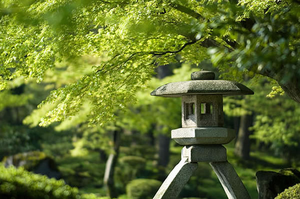 Viaje a Japón en Japan Rail Pass.  Viajes a Japón a Medida. Viajes de novios a Japón.