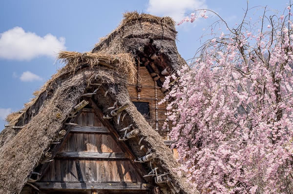 Viajes a Japón a Medida. Viajes de novios a Japón Shirakawago