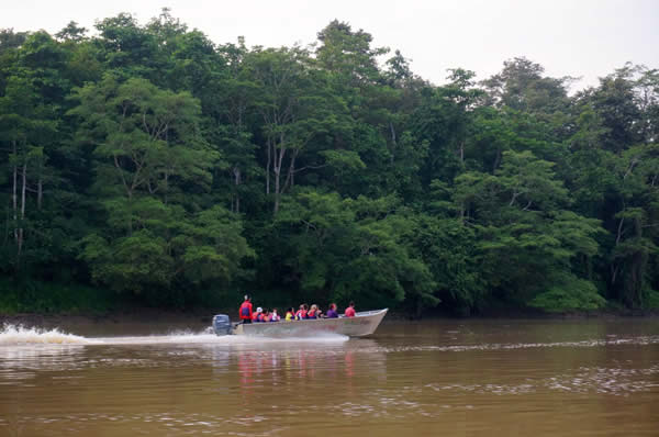 Viajes a Malasia y Borneo, Danum Valley y Gaya Island