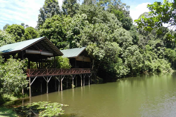 Viajes a Malasia Borneo Singapur Lujo