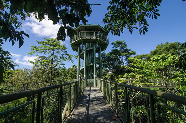 Viajes a Malasia Borneo Singapur Lujo