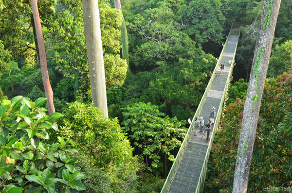 Viajes a Malasia Borneo Singapur Lujo