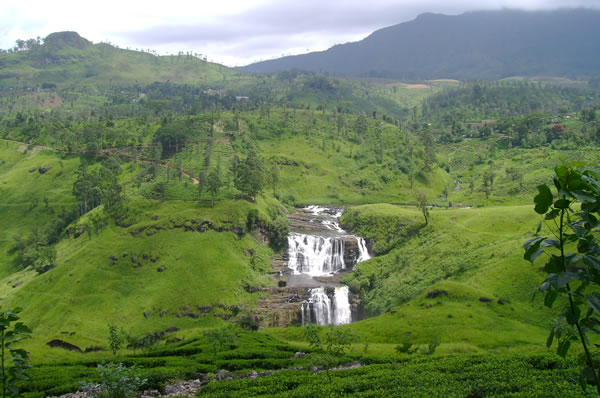 paisaje Viajes a Sri Lanka Tren Nuwara Eliya a Kandy